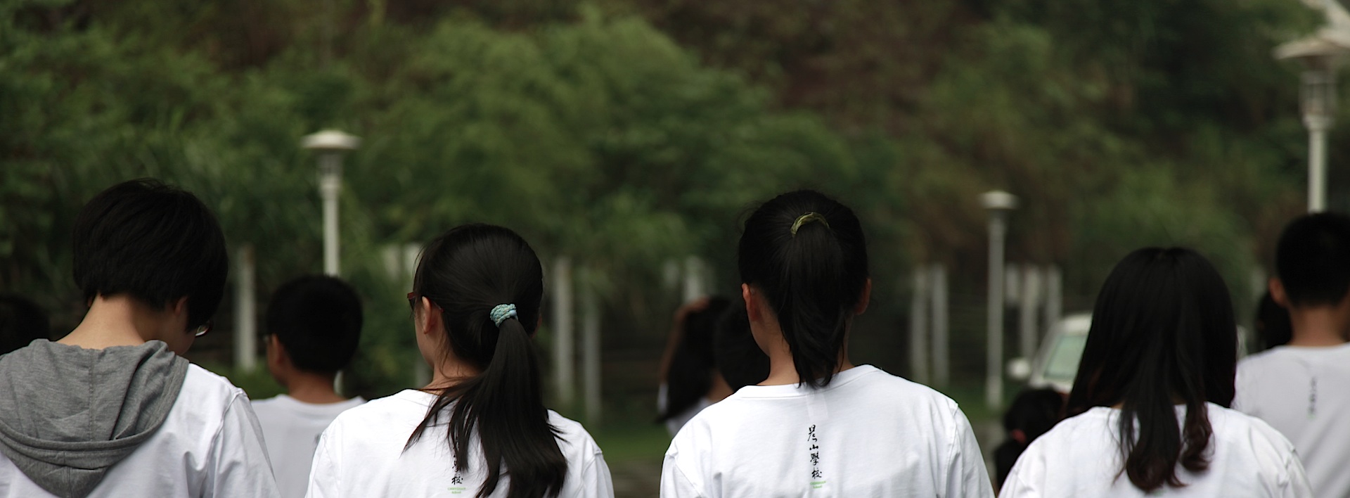 Chenshan School image