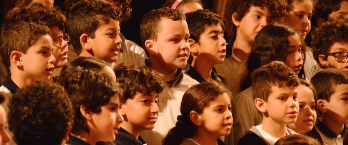American International School in Egypt (Main Campus) image