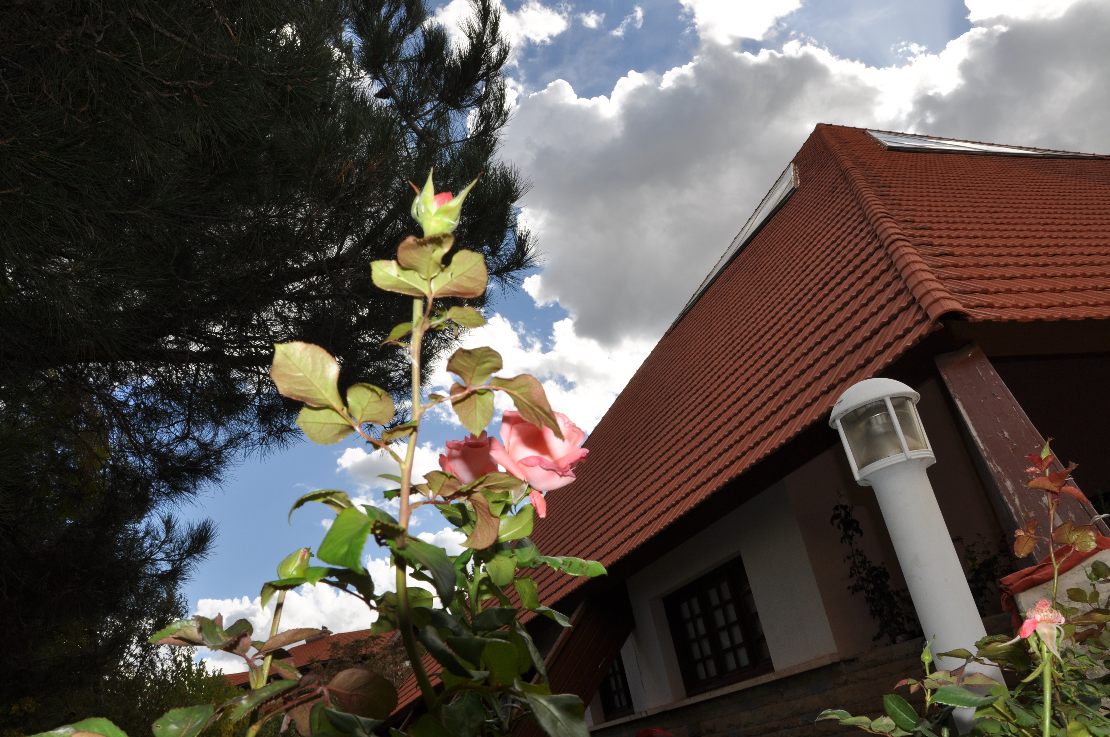 Al Akhawayn School image
