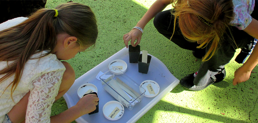 La Scuola – Italian International School image