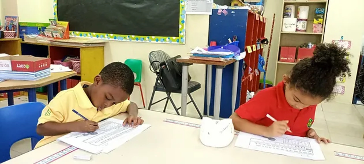 American International School image