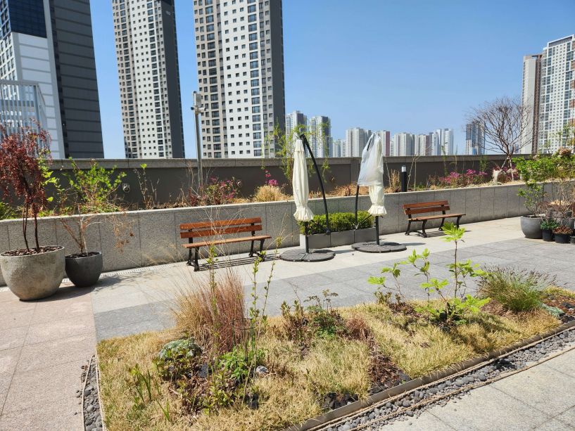 American STEM Prep Songdo image