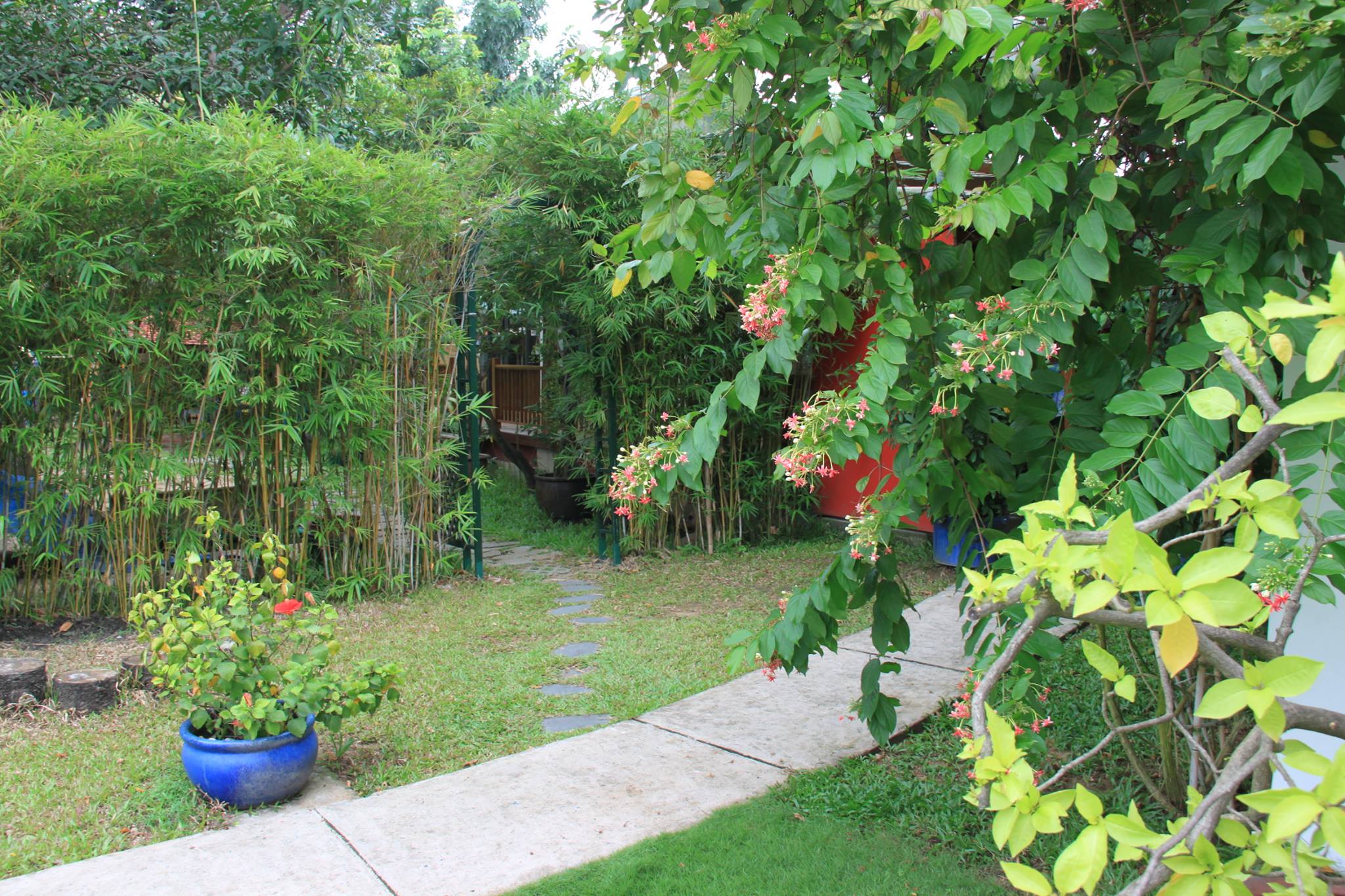 Saigon Kids Early Learning Centre image