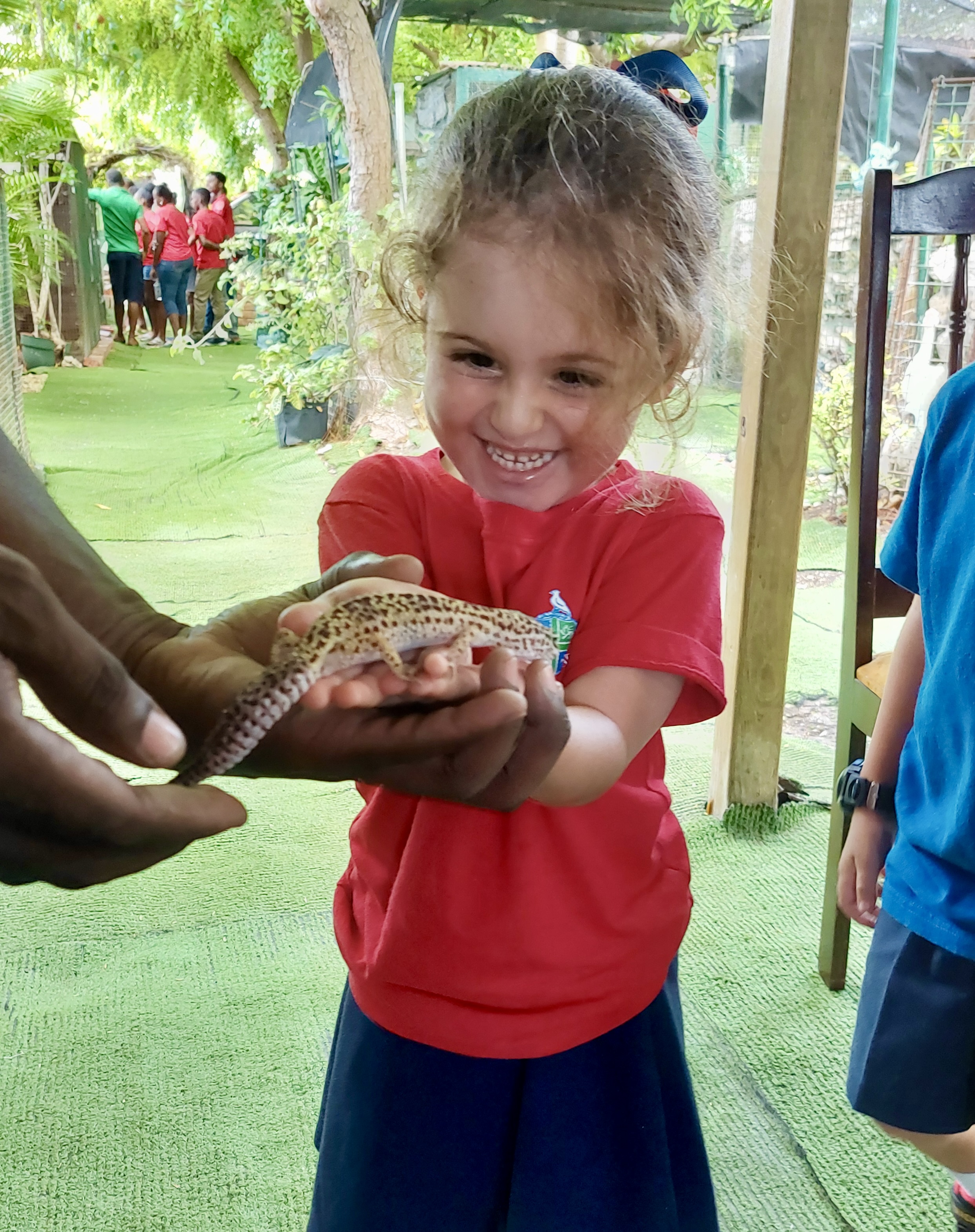 The Codrington School - International School of Barbados image