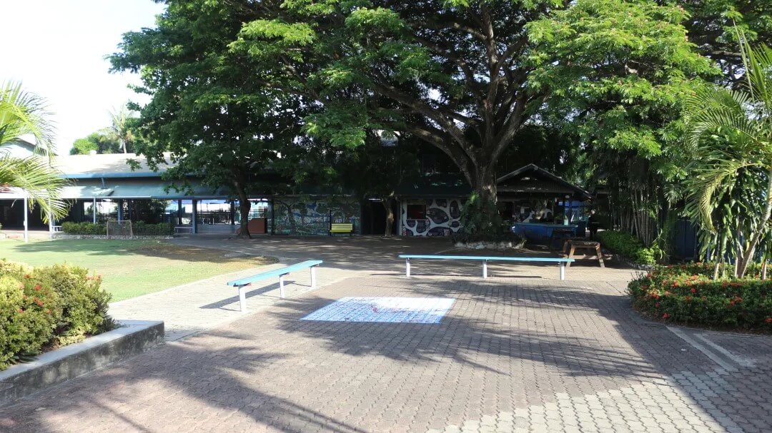 The Ela Murray International School image