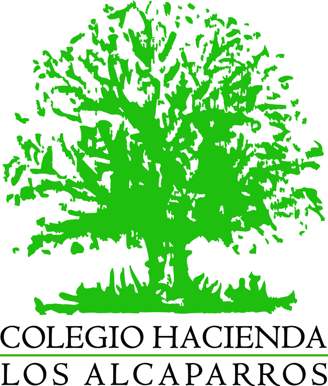 school logo