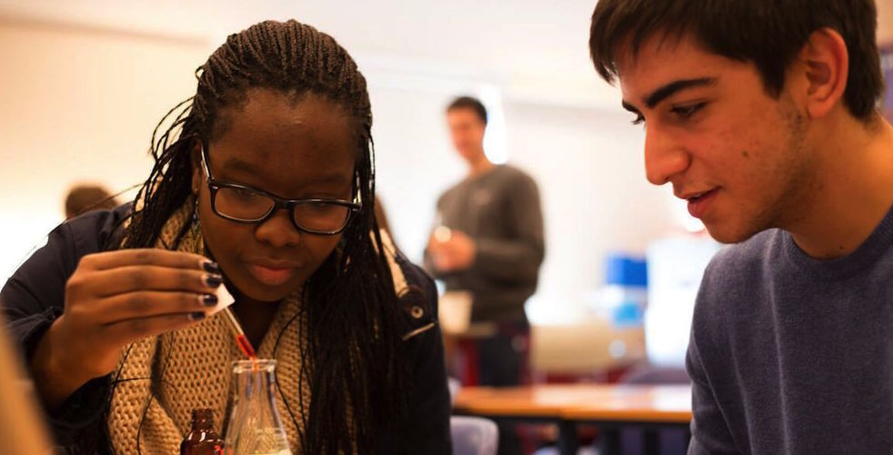 Walworth Barbour American International School image